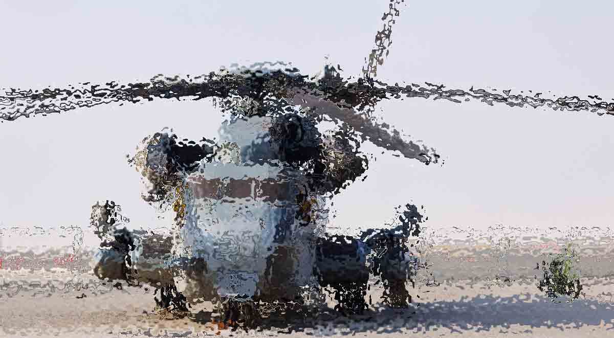 t22